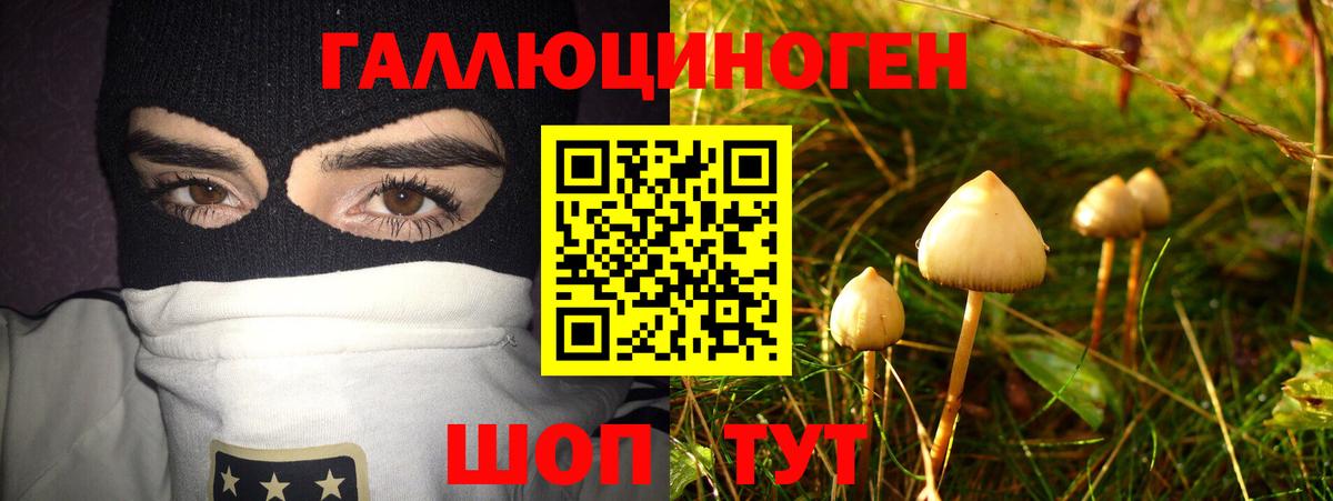 Галлюциногенные грибы ЛСД  наркотики  Каменск-Уральский  Вход с VPN 